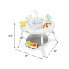 image:imageSkip Hop Baby Activity Play Bouncer for Baby Ages 4m Silver Lining Cloud FoldableSilver Lining Cloud Activity Center
