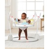 image:imageSkip Hop Baby Activity Play Bouncer for Baby Ages 4m Silver Lining Cloud FoldableSilver Lining Cloud Activity Play Bouncer