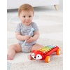 image:imageSkip Hop Dinosaur Pull Along Baby Musical Toy 3in1 Explore amp MoreXylophone Toy