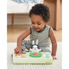 image:imageSkip Hop Seascape Musical Activity Ball Drop 2Stage Cause amp Effect Developmental Toy with Lights Songs and Sounds Age 6mDj Set