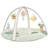 Garden Oasis Play Gym